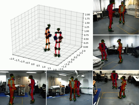 Multi-view Bayesian pose tracking preview